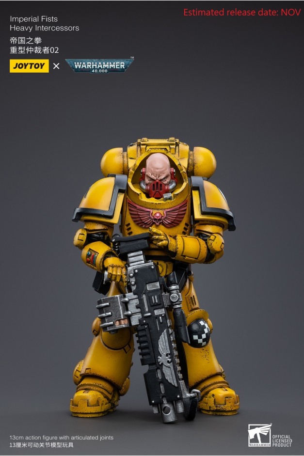 Imperial Fists Heavy Intercessors 02
